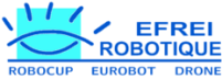 Logo Efrei Robotique